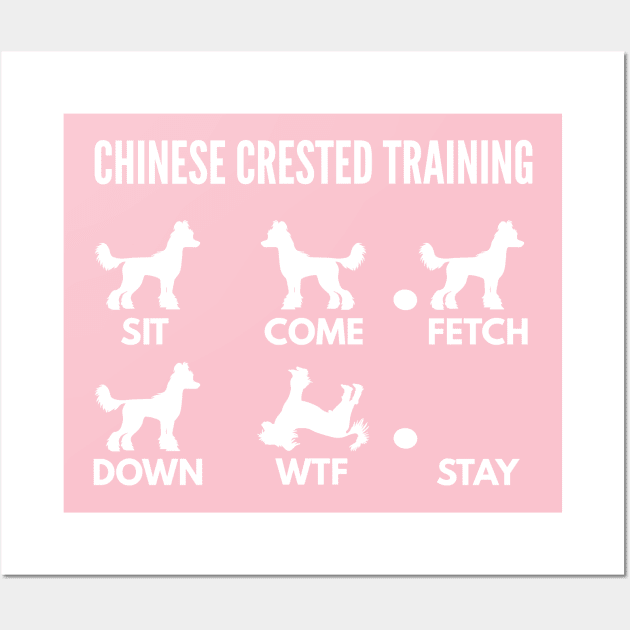 Chinese crested training outlet
